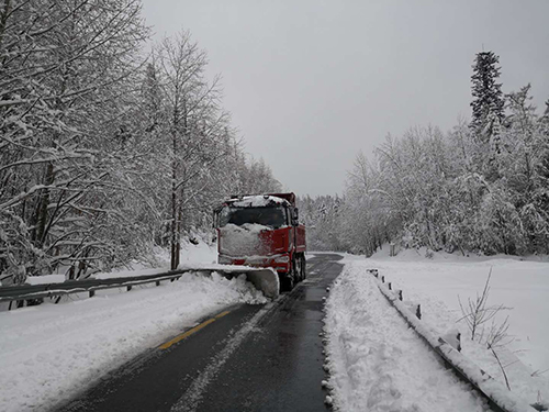 1575421115440742.jpg d2832e955597f48260e4b5773c272b2.jpg